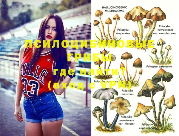 стафф Алексин