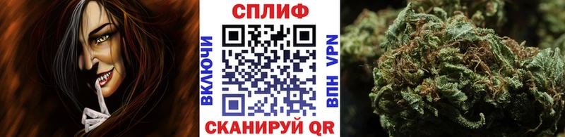 Бошки Шишки марихуана  KRAKEN сайт  Грайворон 